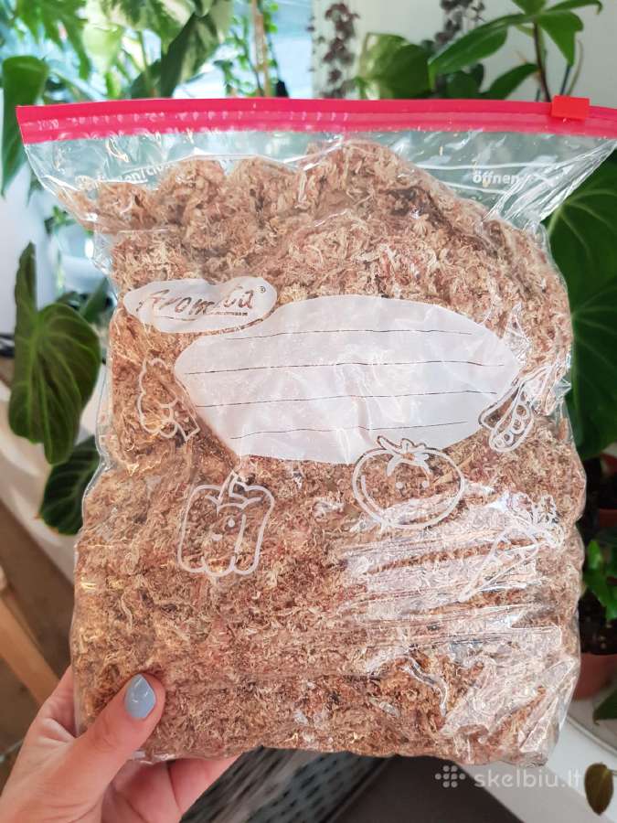 Kiminai sphagnum moss (100g/1kg) - nuotraukos Nr. 3