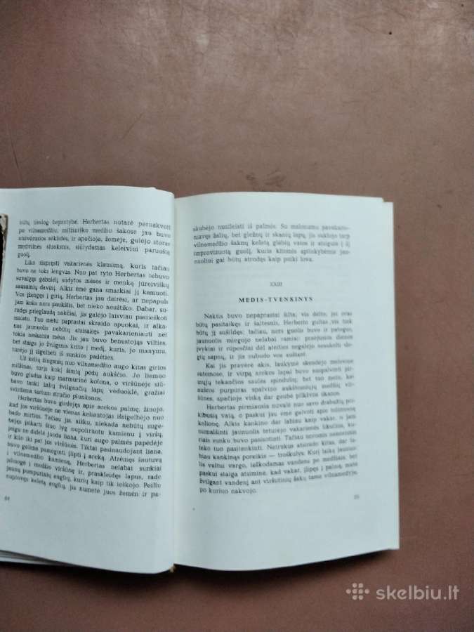 Jam maronai, Baltoji piršt, Kvarteronė, Drąs medži - nuotraukos Nr. 4