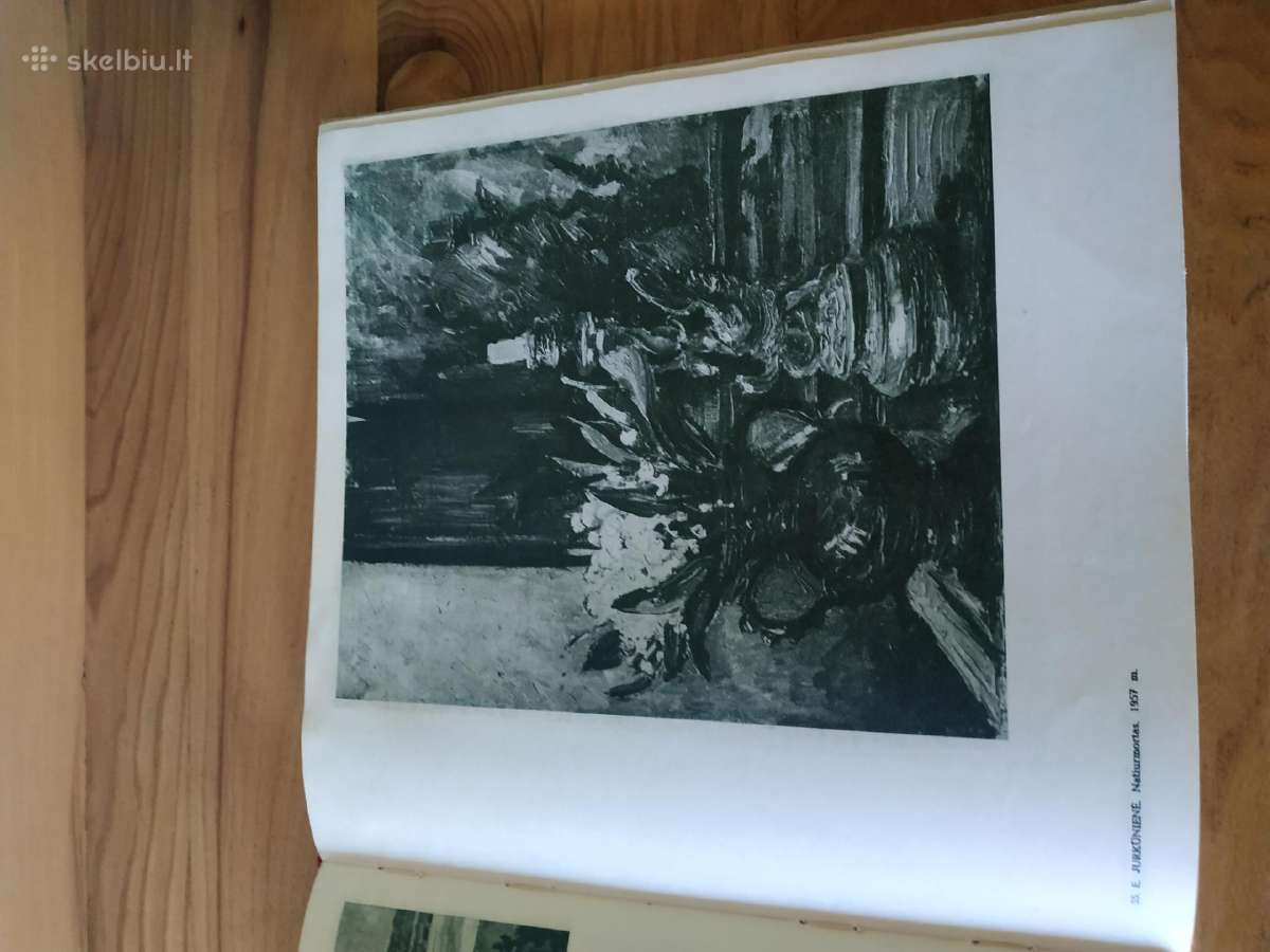 1940-1960 m. lietuvių tarybinės dailės albumas - nuotraukos Nr. 5