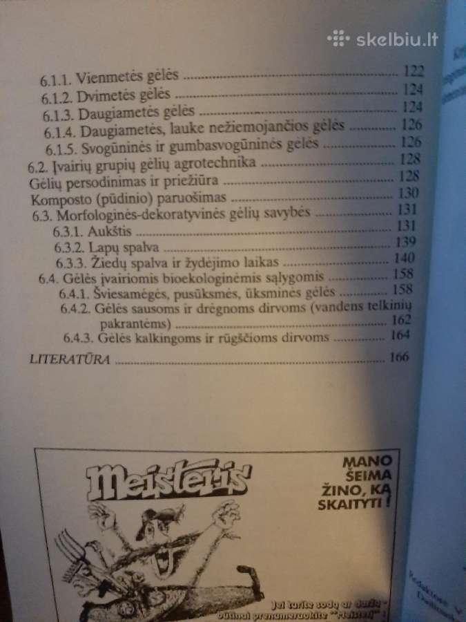 Žalioji sodybos skraistė - nuotraukos Nr. 4