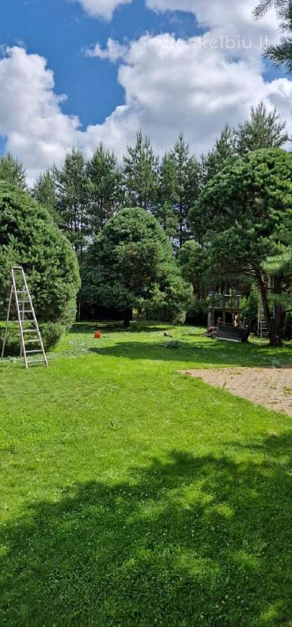 Gyvatvorių karpymas ir koregavimas - nuotraukos Nr. 33