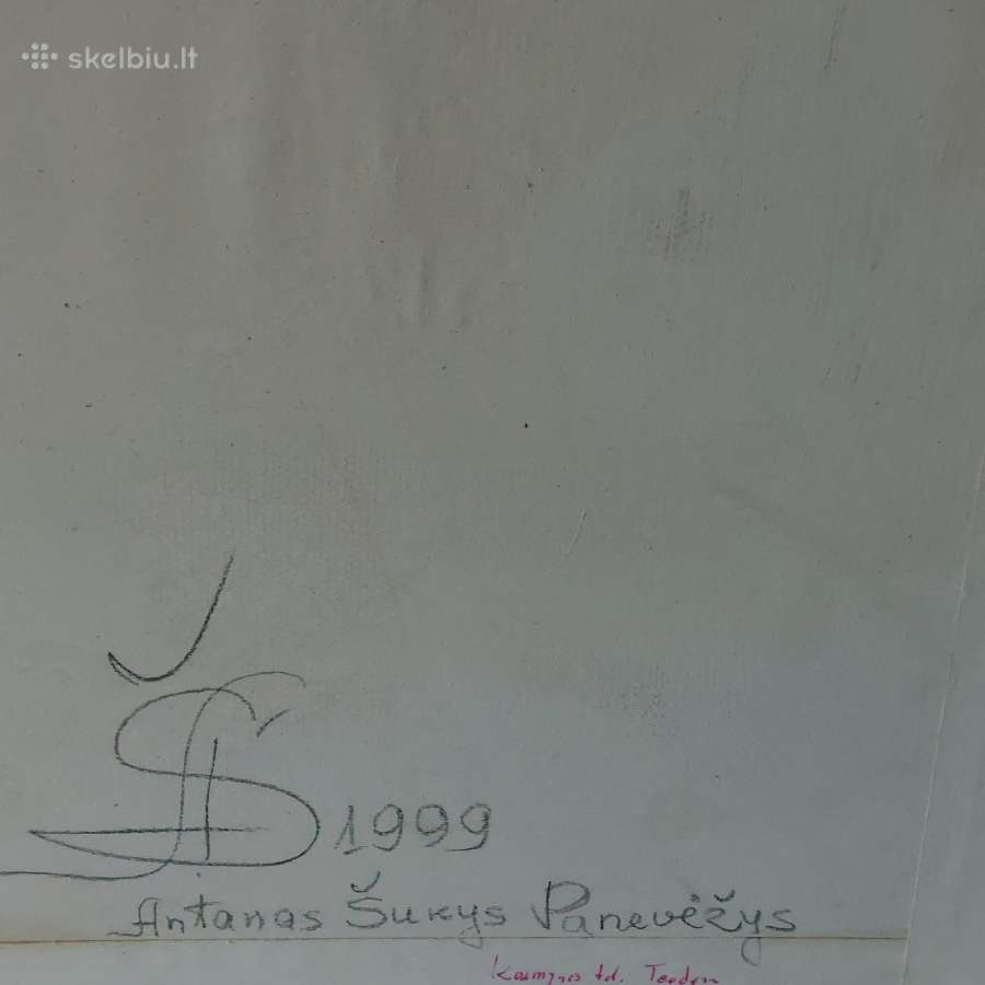 Lietuviškas paveikslas " Baltijos pajūrio kopos " - nuotraukos Nr. 12