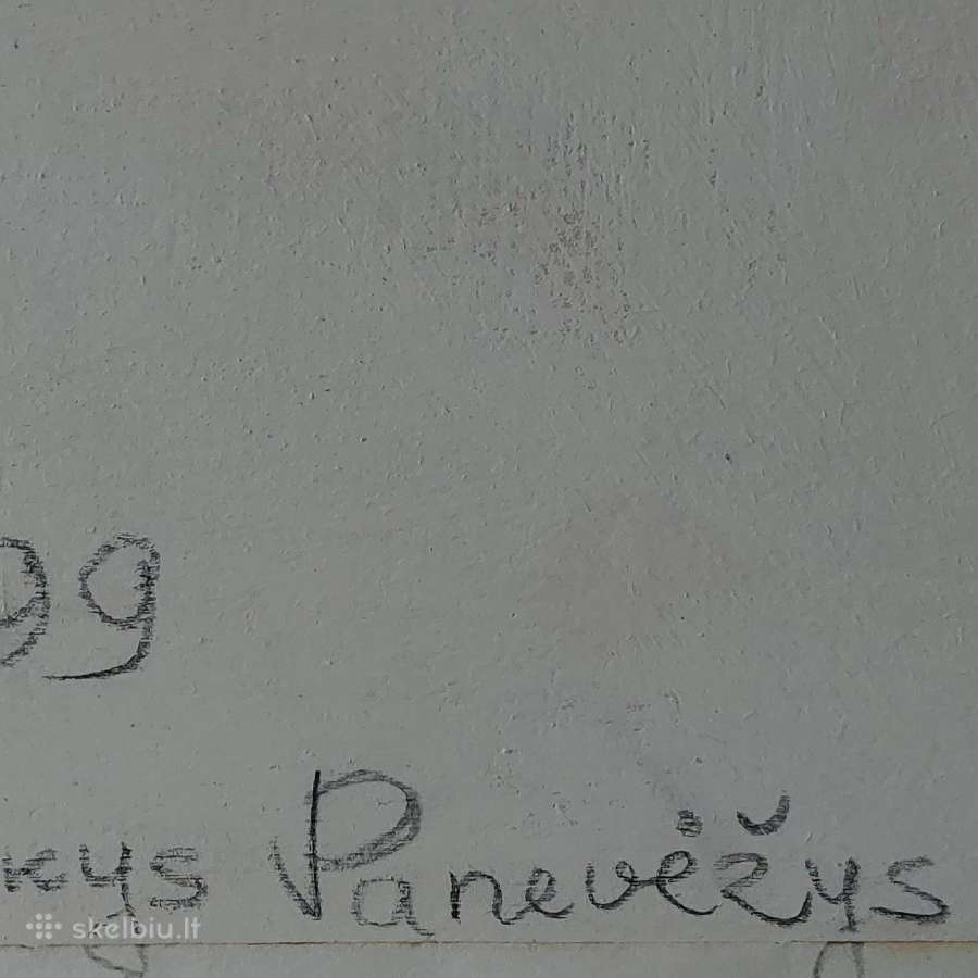 Lietuviškas paveikslas " Baltijos pajūrio kopos " - nuotraukos Nr. 15