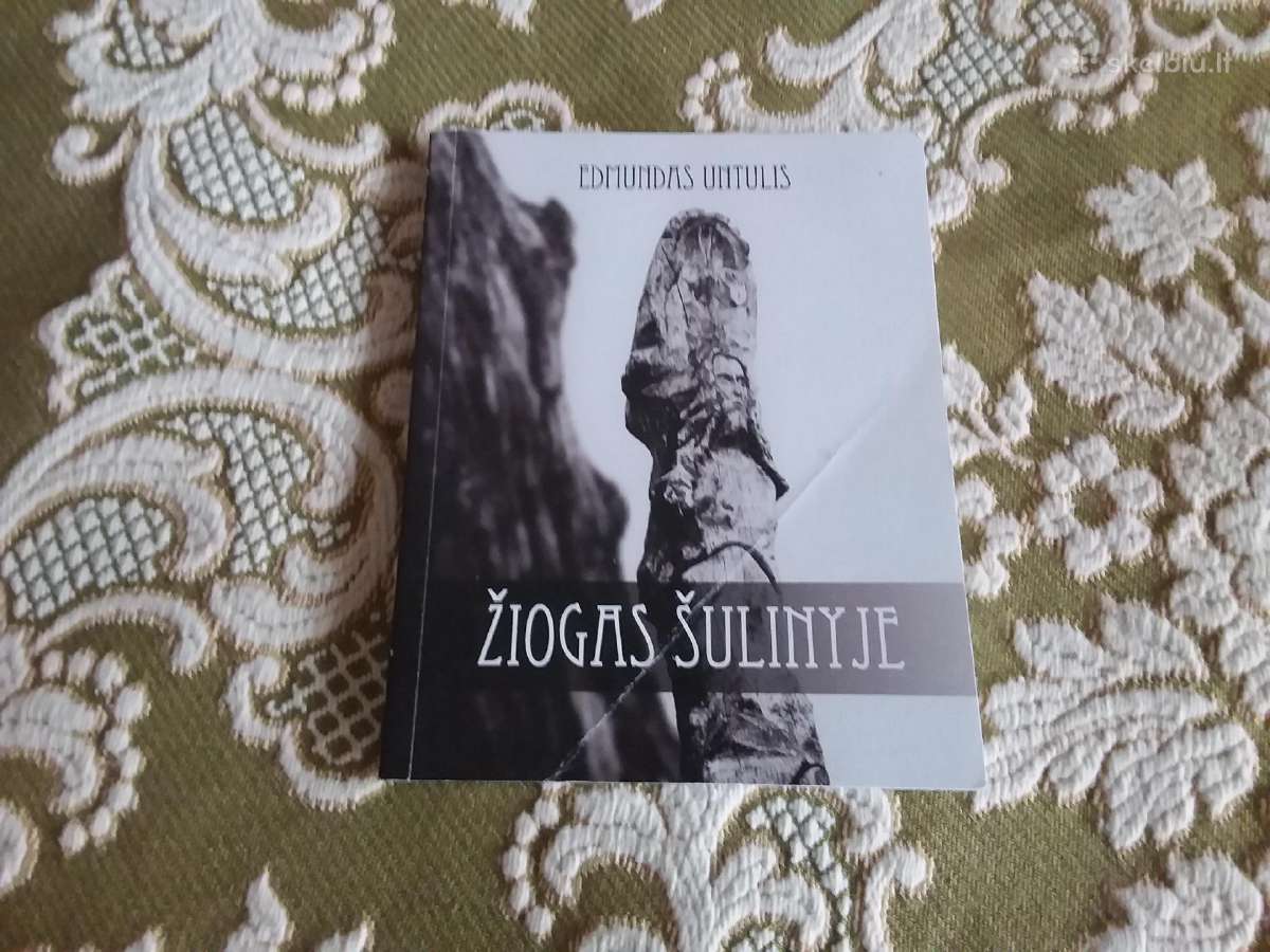 Žiogas Šulinyje Edmundas Untulis 2007 m.