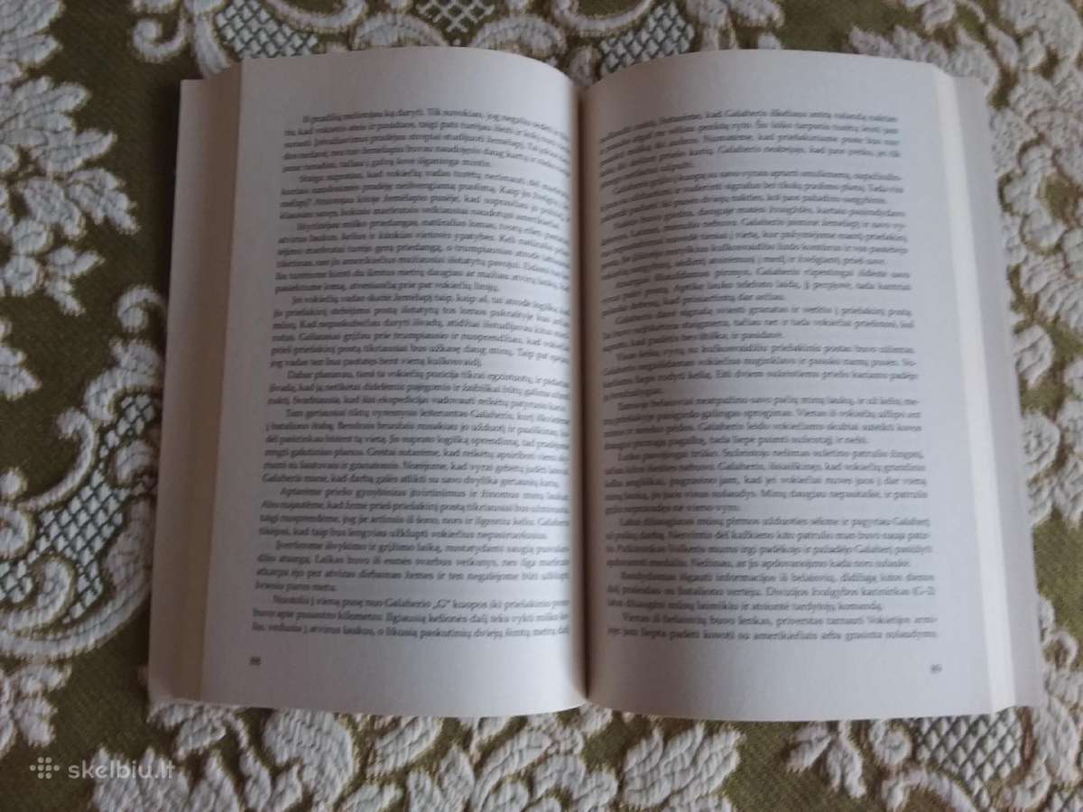 Jei Išgyvensit: Nuo Normandijos Iki Zygfrydo Linij - nuotraukos Nr. 2