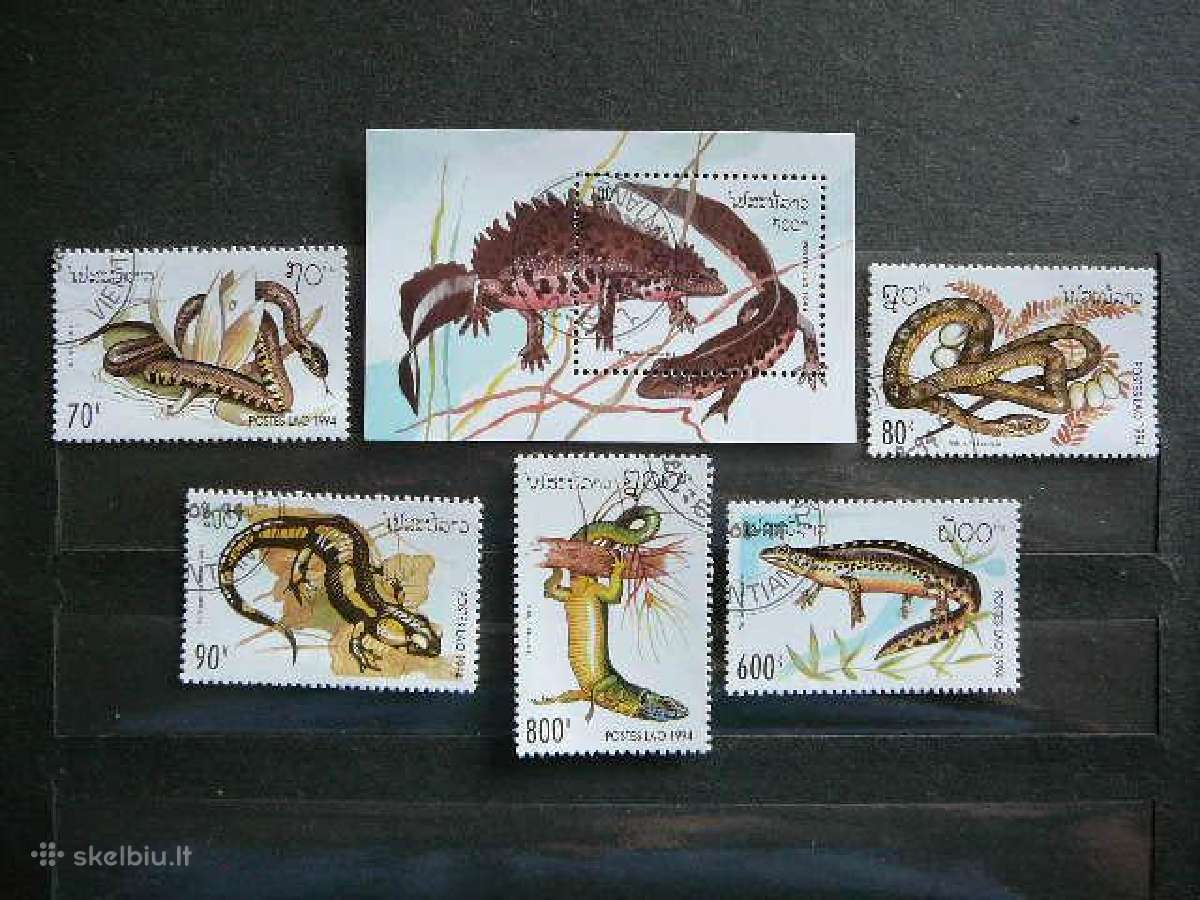 Gyvates Reptilijos Laosas 1994 antsp. la1414