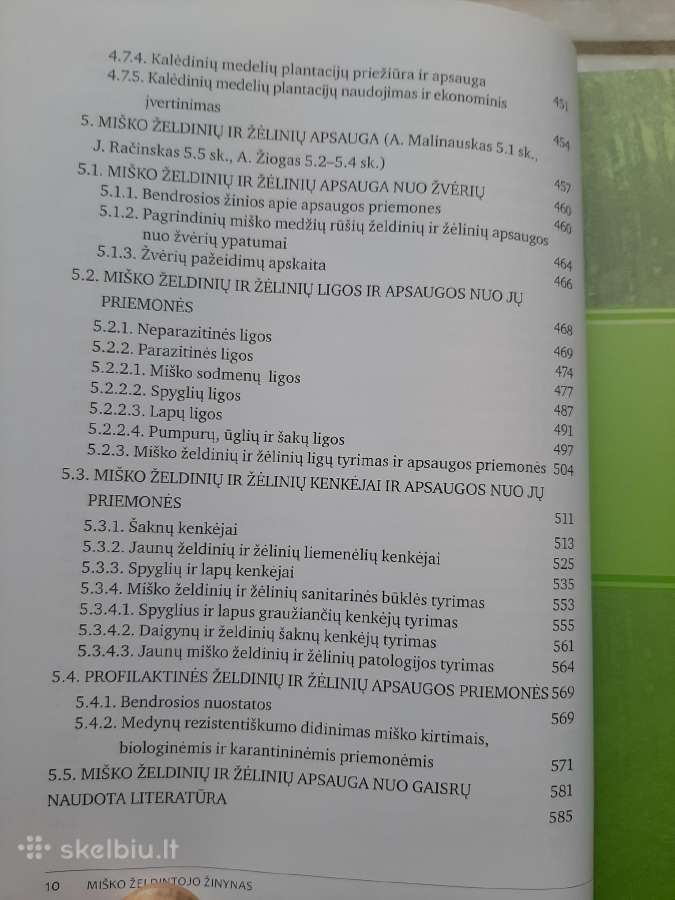 Miško želdintojo žinynas - nuotraukos Nr. 7