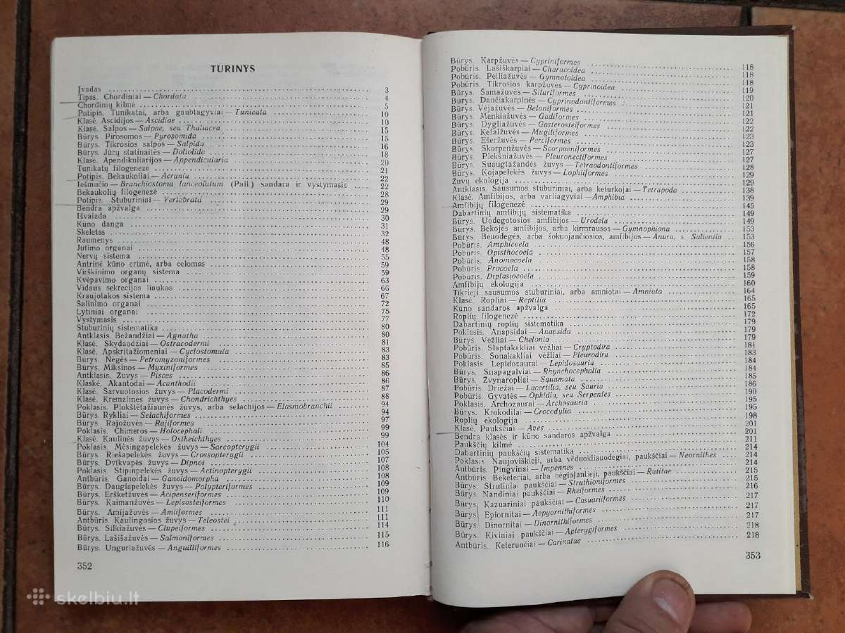 A. Mačionis "Stuburinių zoologija" 1989 metai - nuotraukos Nr. 5