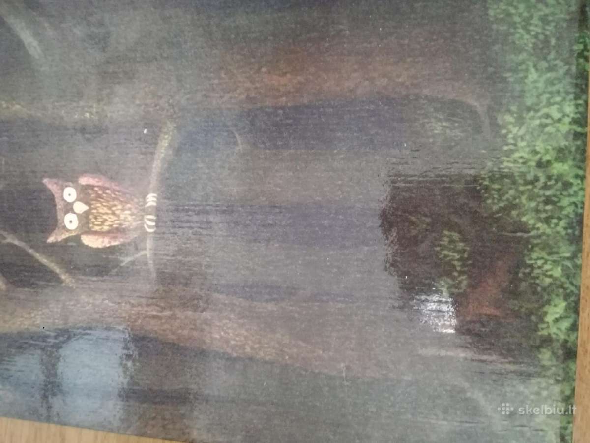 Vadovėliai, pasakos,enciklopedijos vaikams - nuotraukos Nr. 14