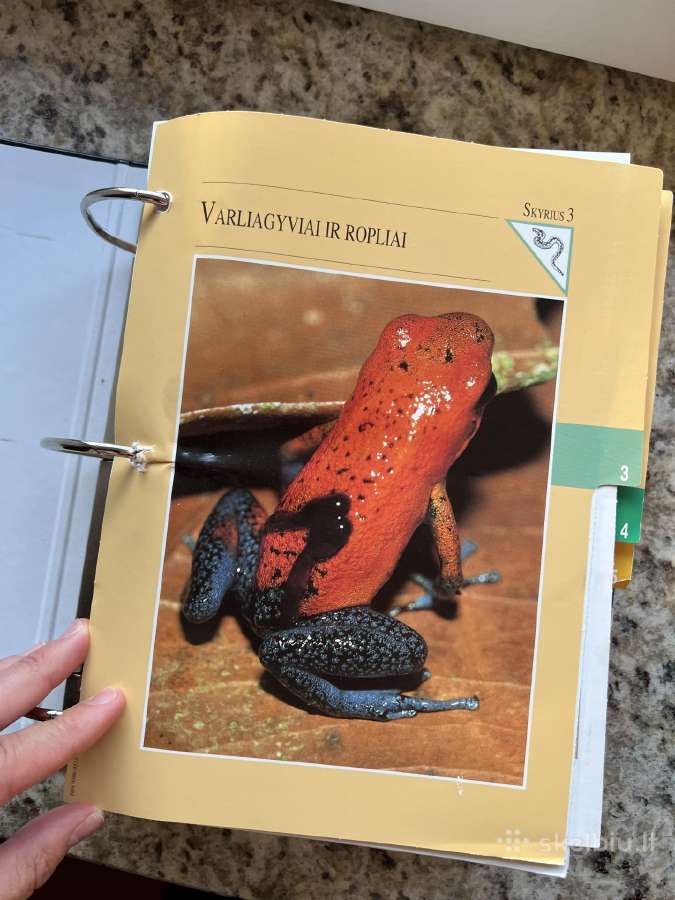 Gyvūnijos pasaulyje - nuotraukos Nr. 6