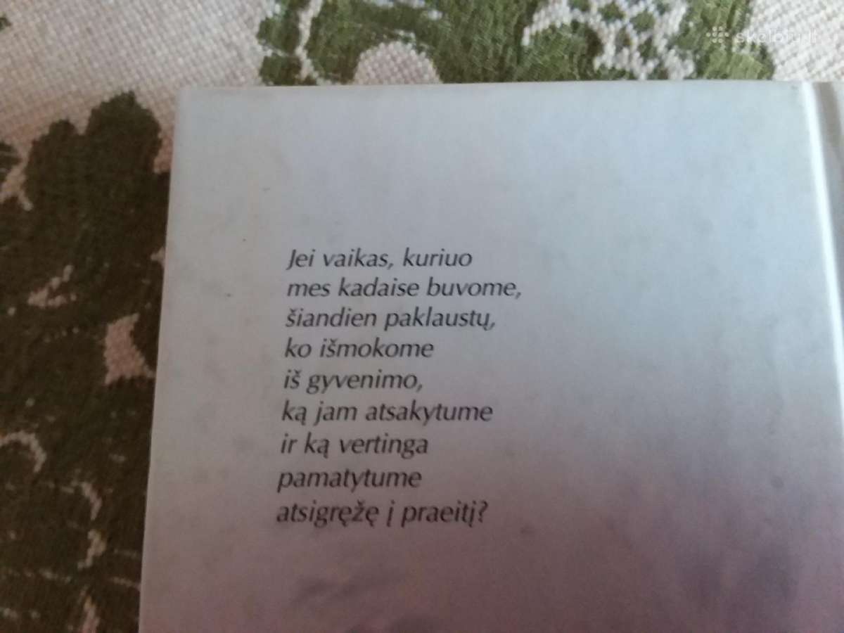 Palikę Užuovėją Richard Bach 1999 m. - nuotraukos Nr. 2