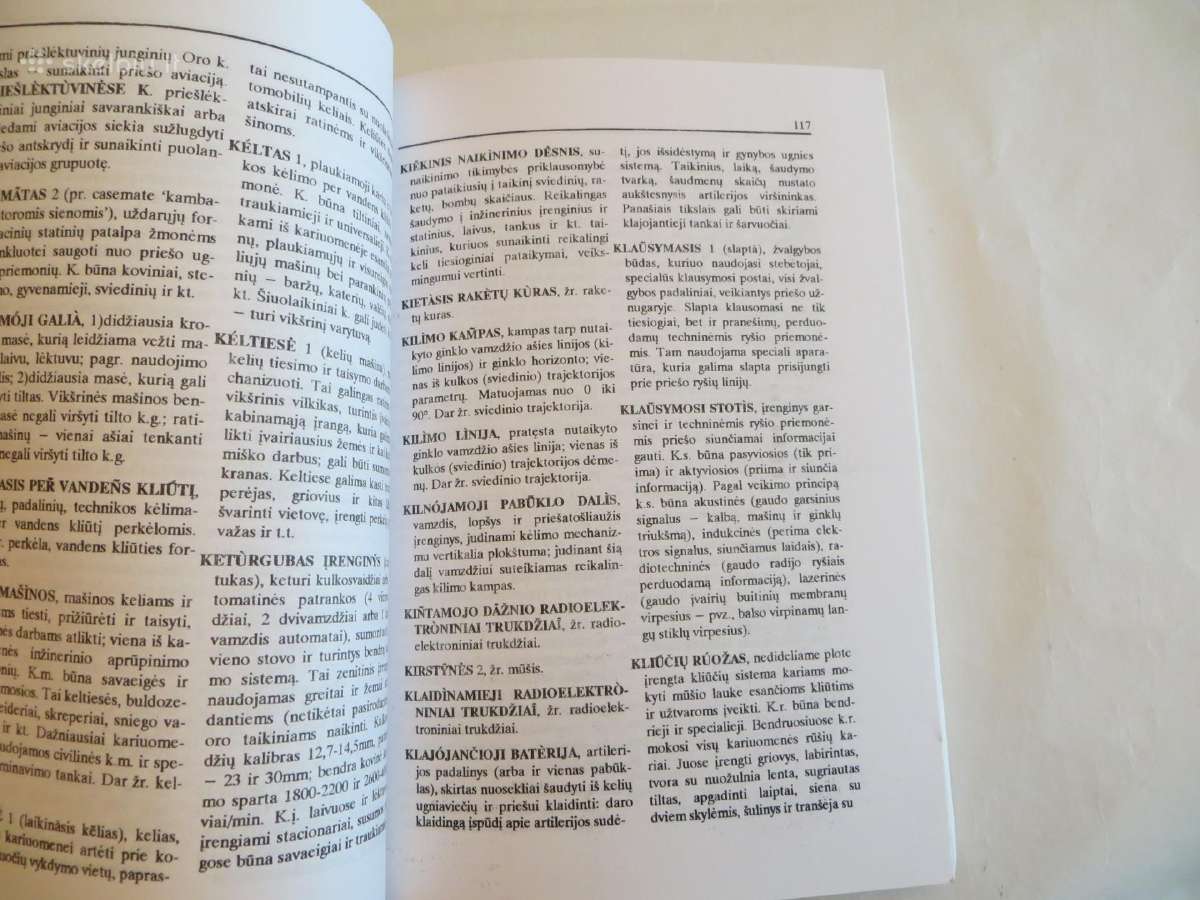 Knyga Karybos žodynas Antanas Smetona 1995 - nuotraukos Nr. 8