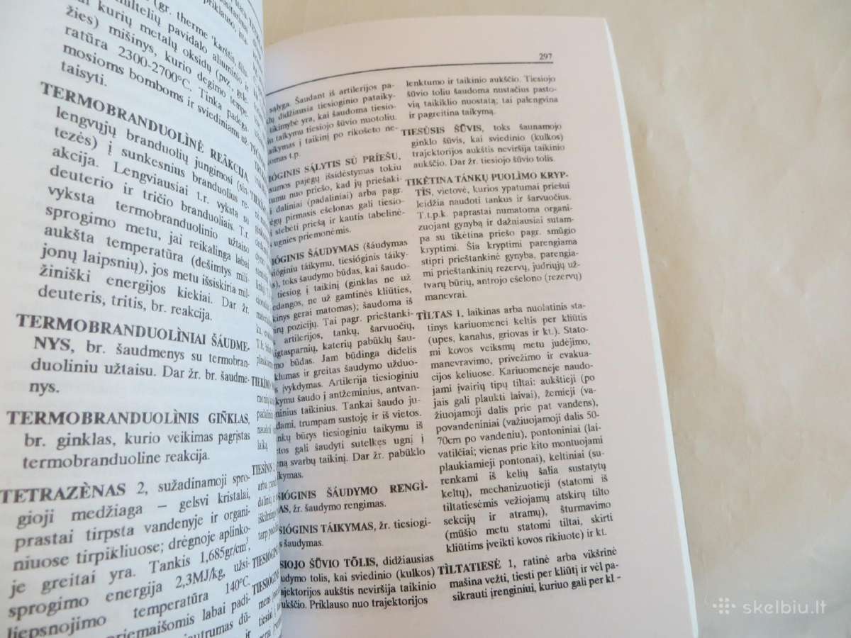 Knyga Karybos žodynas Antanas Smetona 1995 - nuotraukos Nr. 14