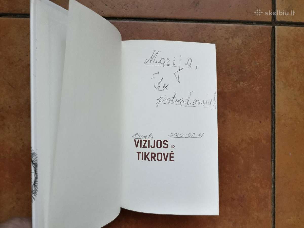Marija Aušrinė Pavilionienė "Vizijos ir tikrovė" - nuotraukos Nr. 2