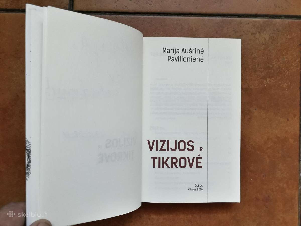 Marija Aušrinė Pavilionienė "Vizijos ir tikrovė" - nuotraukos Nr. 3