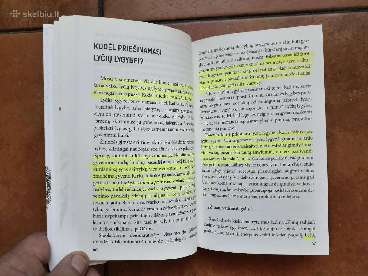 Marija Aušrinė Pavilionienė "Vizijos ir tikrovė" - nuotraukos Nr. 6