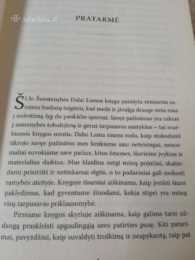 D.lama Kaip pazinti save 2012 m. - nuotraukos Nr. 3