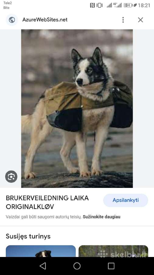 Laika firmos krepsiai suniui/augintiniui