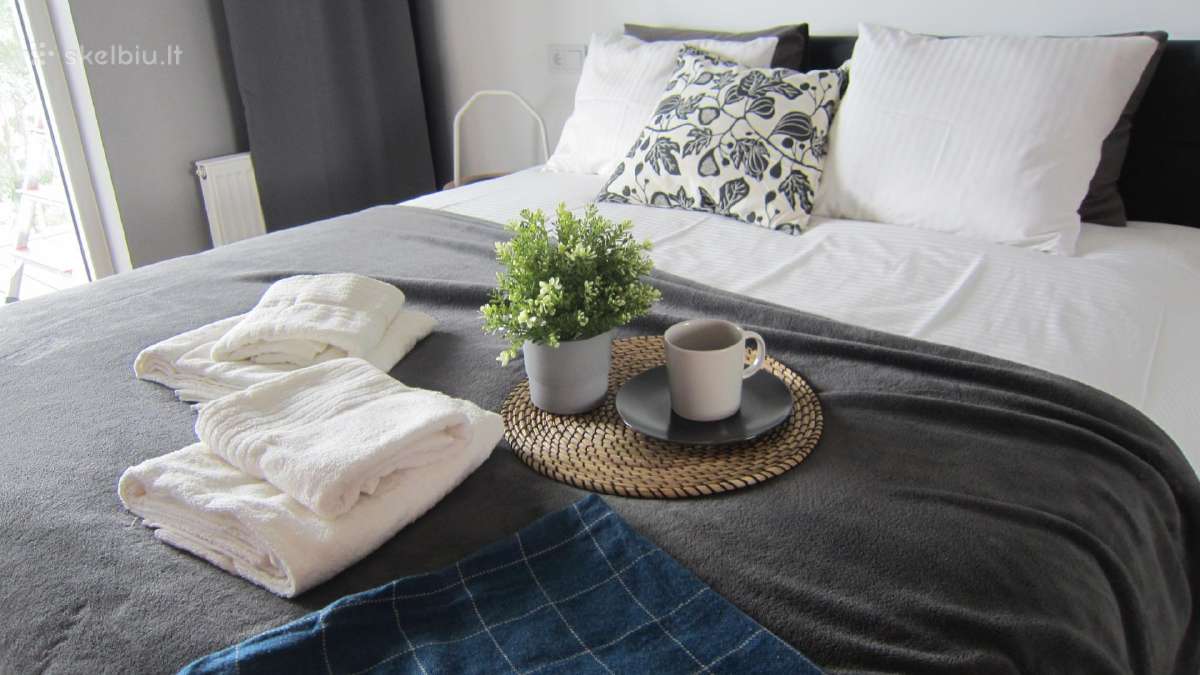 Trumpalaikė apartamentų nuoma - nuotraukos Nr. 2