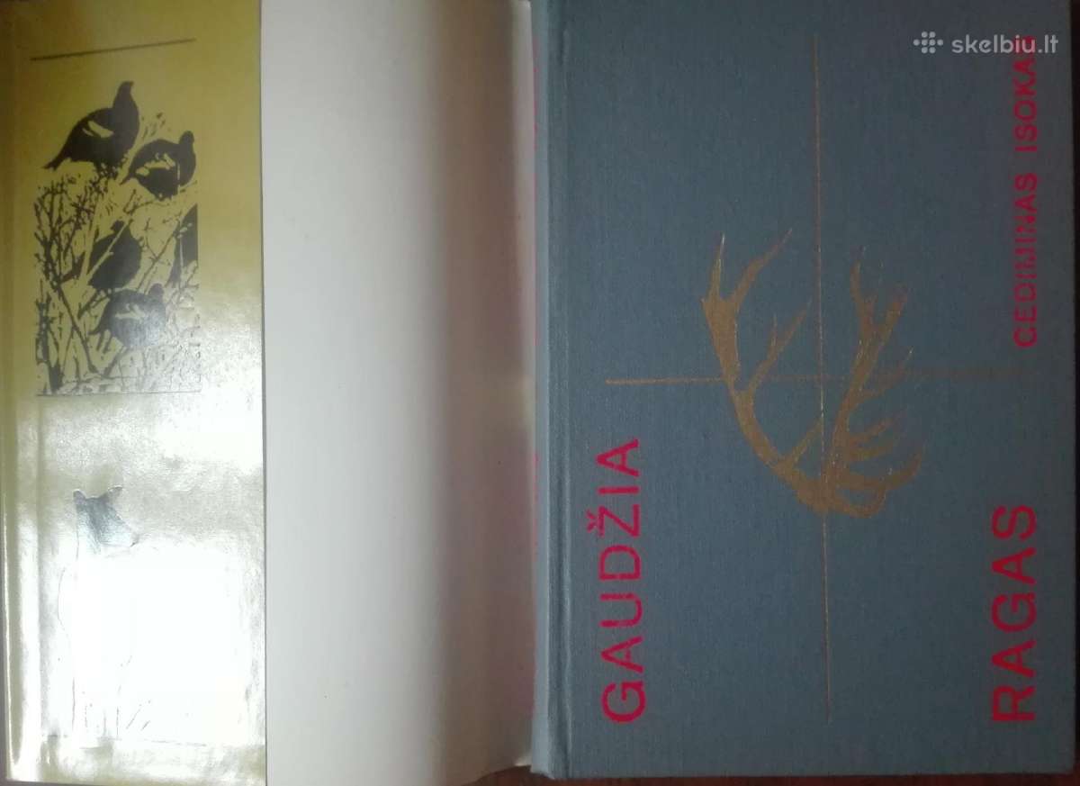 556. Gaudžia Ragas Isokas G. - nuotraukos Nr. 2