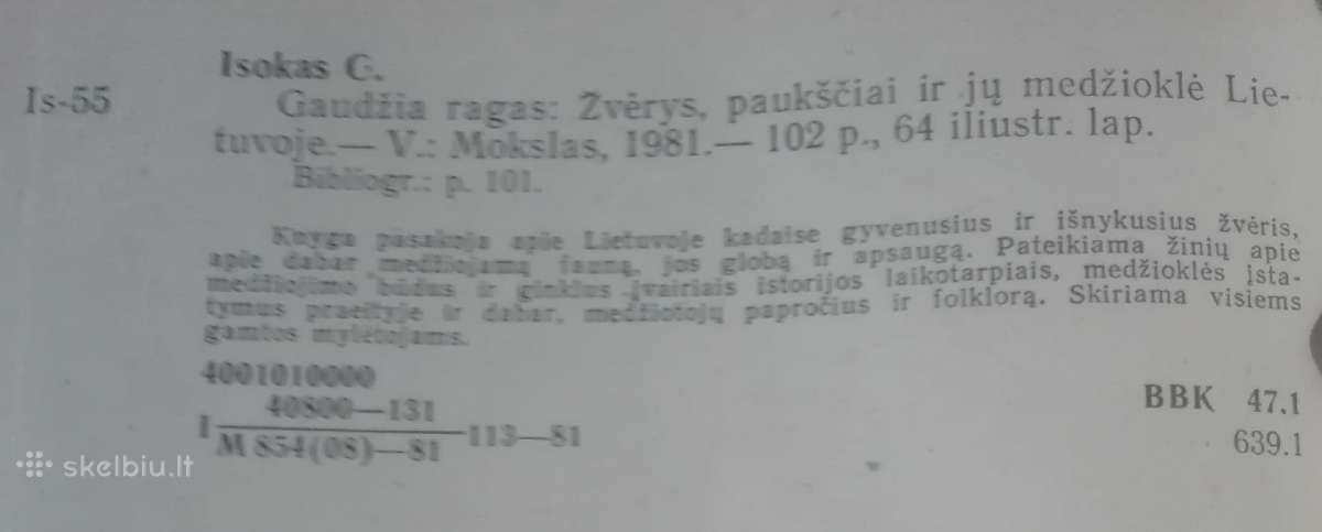 556. Gaudžia Ragas Isokas G. - nuotraukos Nr. 4