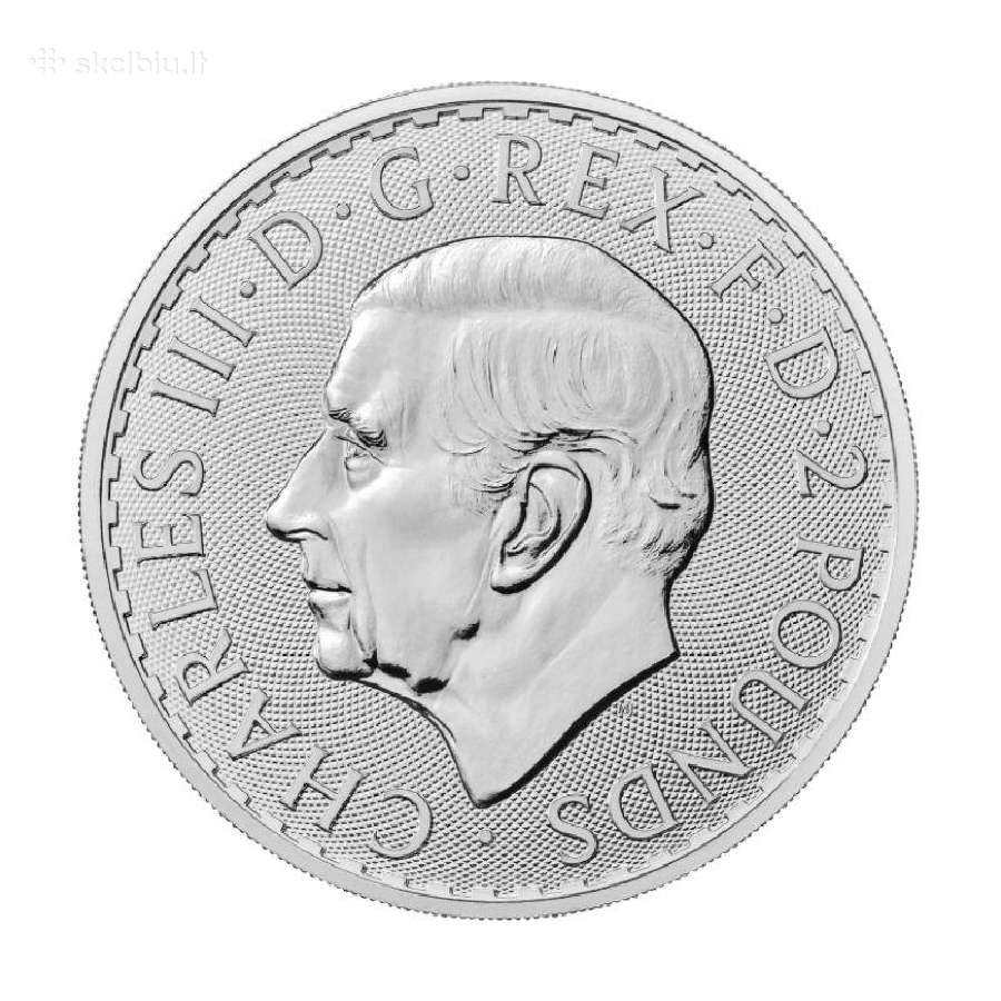 Pigiai sidabrinės 10oz ir 1oz monetos