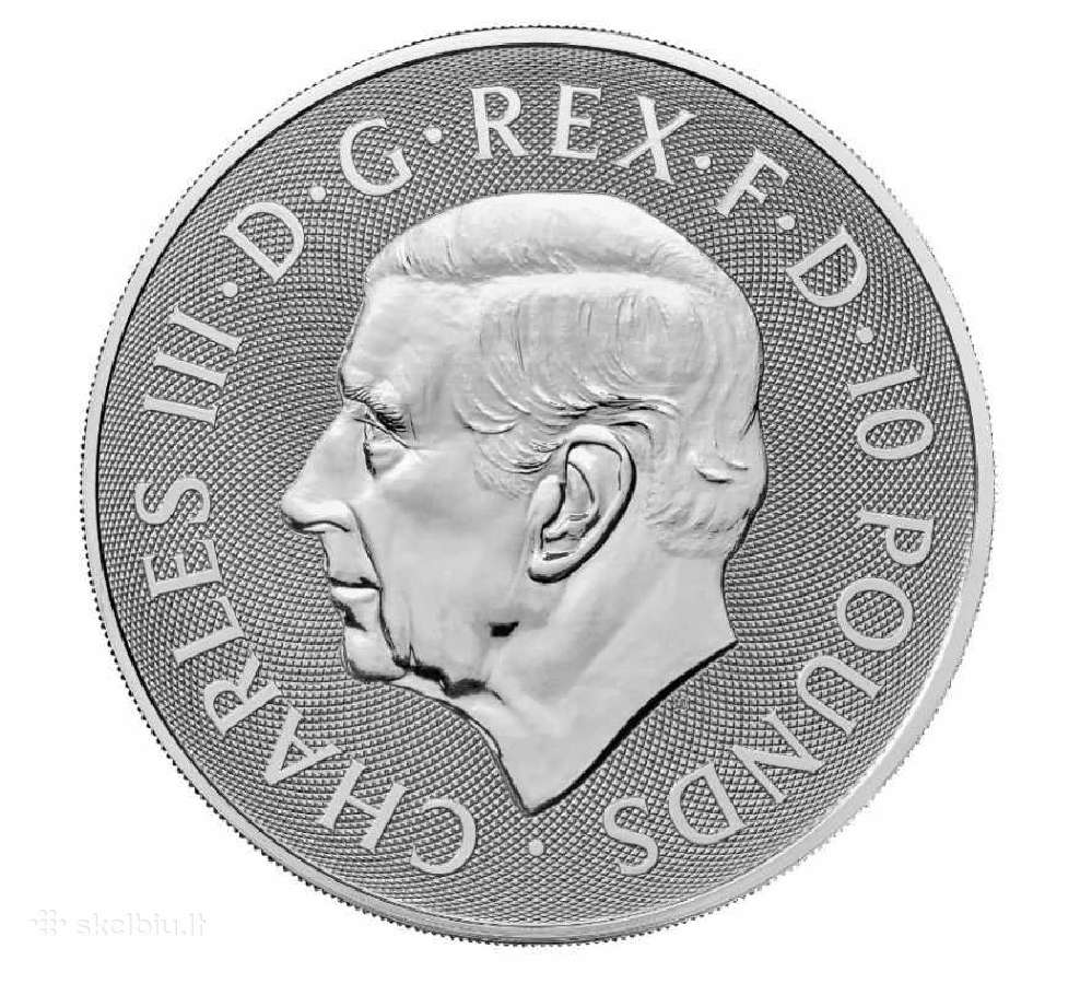 Pigiai sidabrinės 10oz ir 1oz monetos - nuotraukos Nr. 10