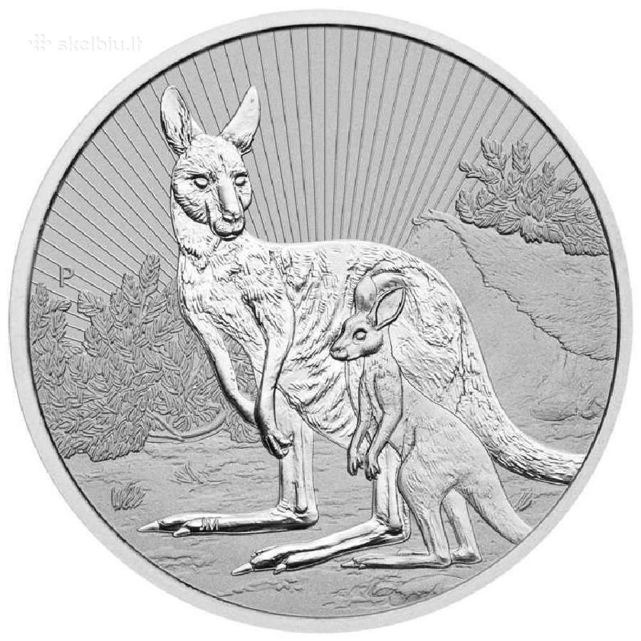 Pigiai sidabrinės 10oz ir 1oz monetos - nuotraukos Nr. 12
