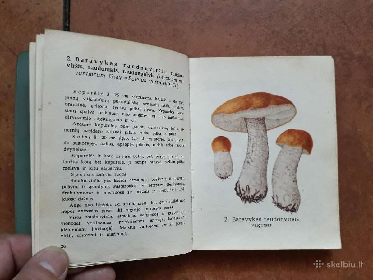 J. Mieželaitis ir A. Gricius "Grybai" 1970 metai - nuotraukos Nr. 4