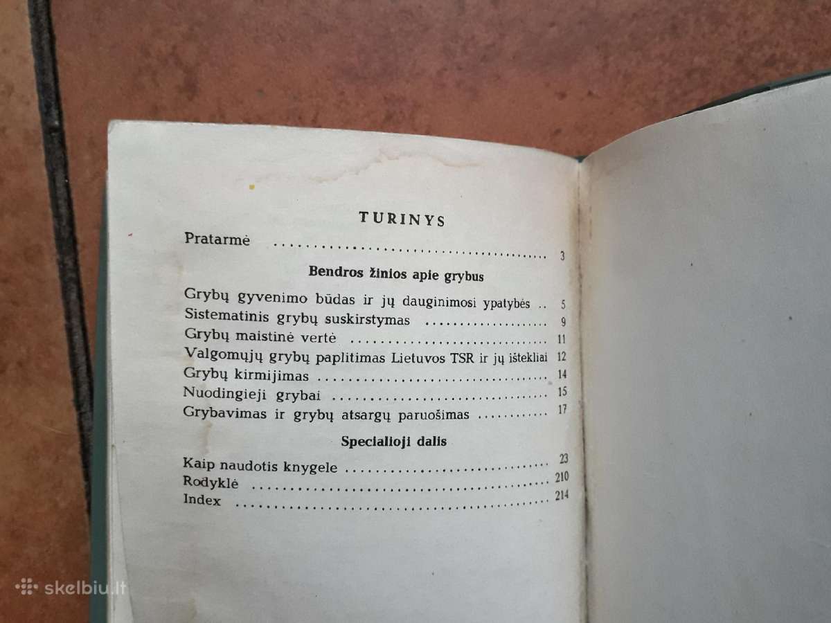 J. Mieželaitis ir A. Gricius "Grybai" 1970 metai - nuotraukos Nr. 7