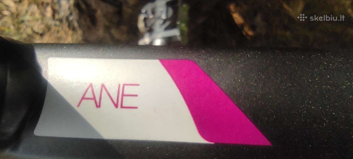 White Ane Sc-e comp - nuotraukos Nr. 15