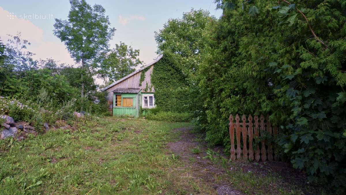 Skubiai! 33 a namų valda su namu Nevarėnuose - nuotraukos Nr. 8