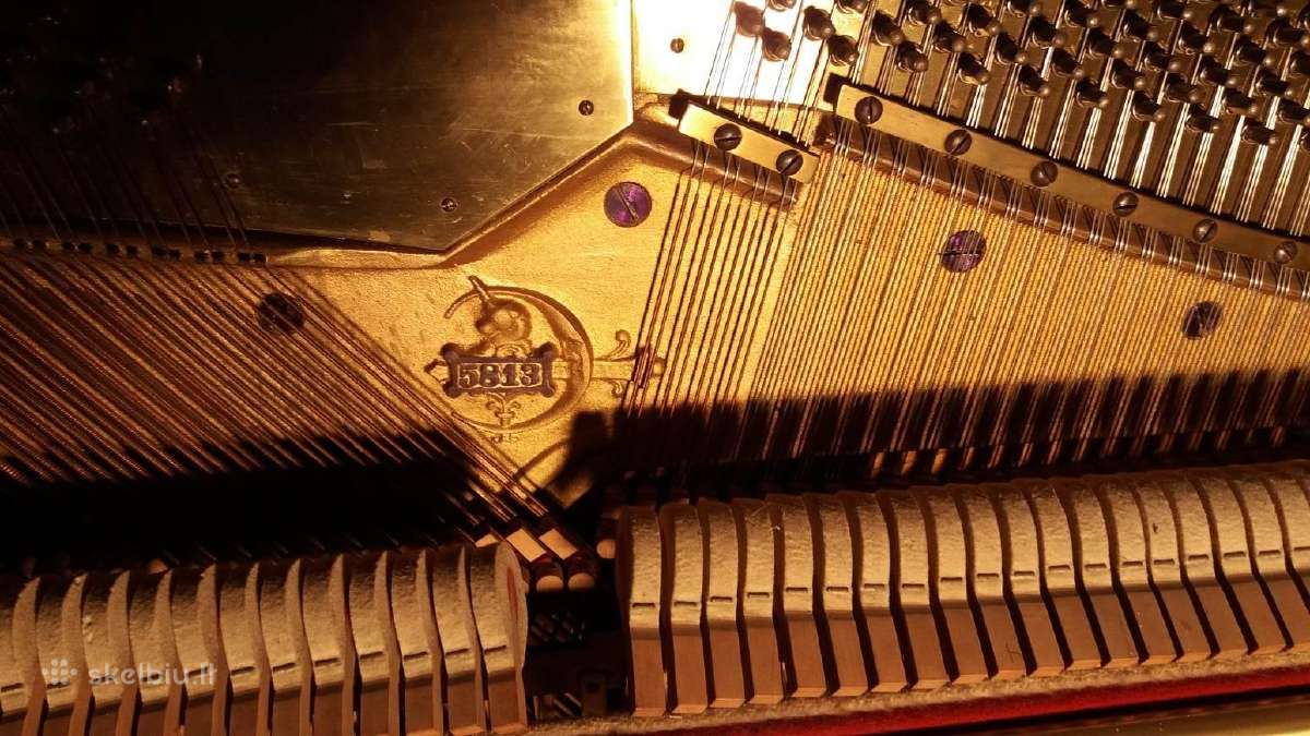 Pianinas Wilhials Spaethe Gera. Antikvarinis - nuotraukos Nr. 4
