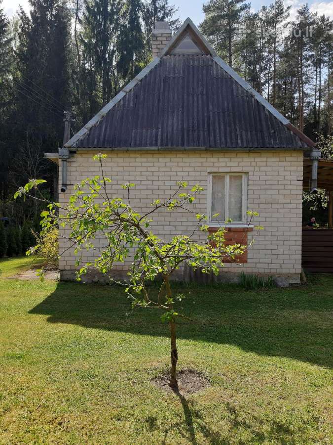 Parduodamas sodas, Kaubariskyje - nuotraukos Nr. 7