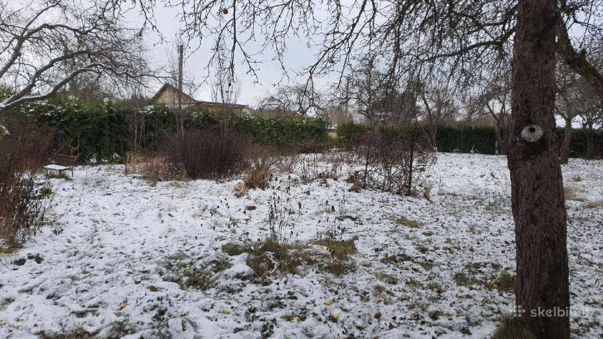 Frezavimas,vejos įrengimas sodybų tvarkymo darbai - nuotraukos Nr. 25
