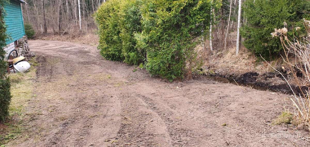 Frezavimas,vejos įrengimas sodybų tvarkymo darbai - nuotraukos Nr. 3