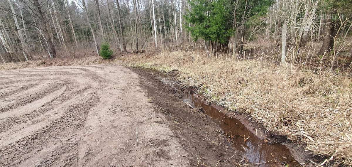 Frezavimas,vejos įrengimas sodybų tvarkymo darbai - nuotraukos Nr. 7