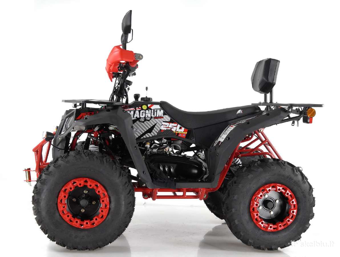 Benzininis keturratis 250cc Apollo motors - nuotraukos Nr. 6