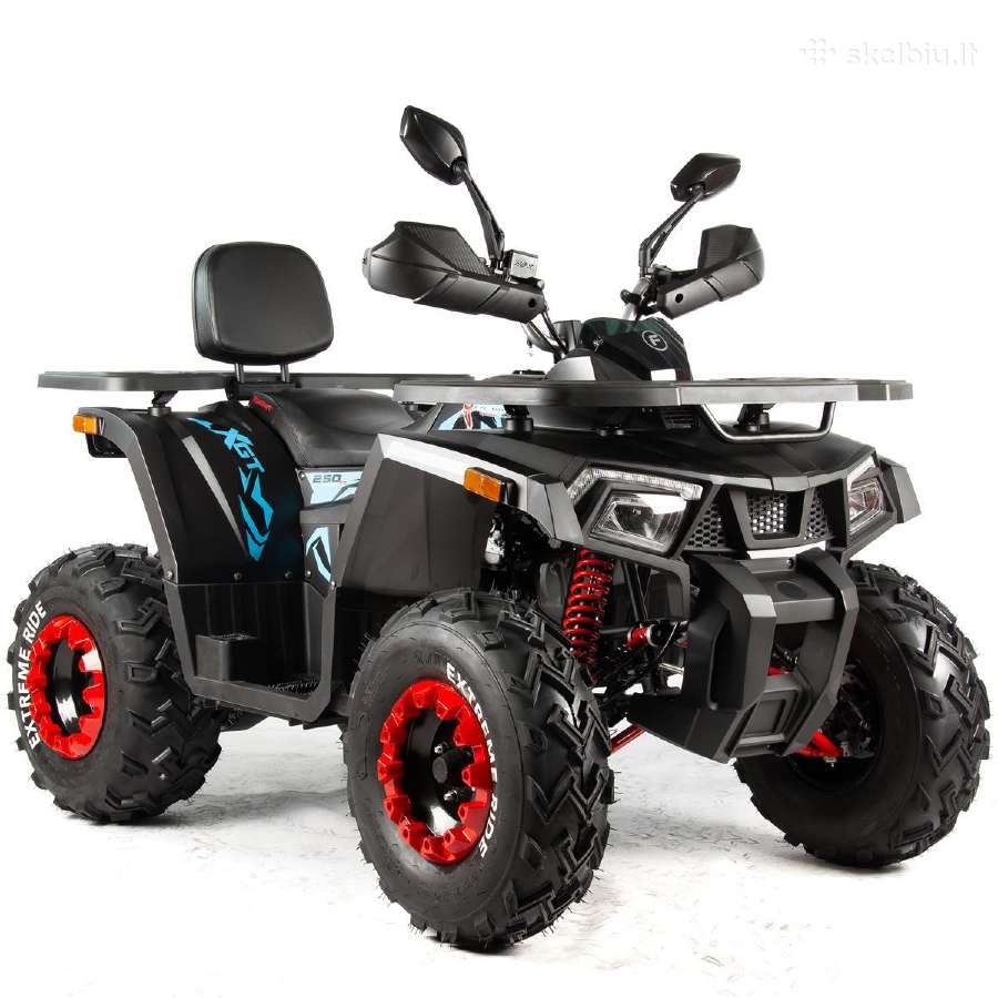 Benzininis keturratis Tao Fourcraft 250 cc - nuotraukos Nr. 2