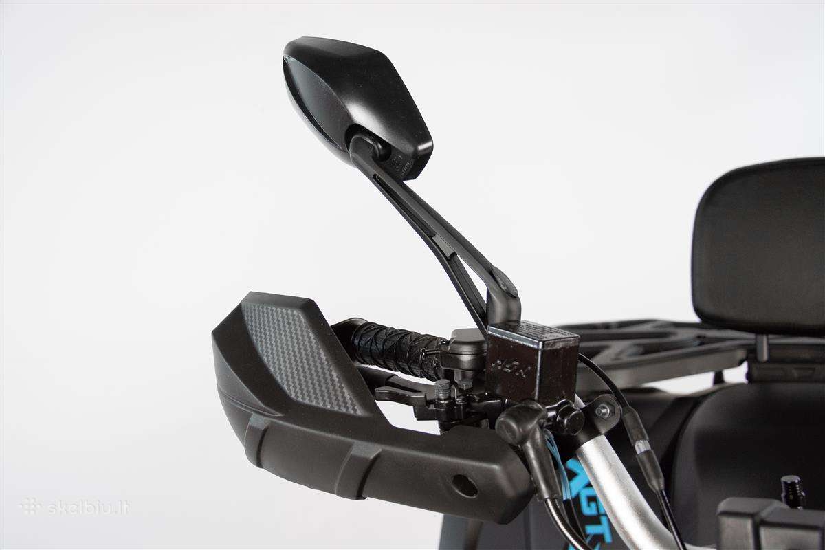 Benzininis keturratis Tao Fourcraft 250 cc - nuotraukos Nr. 14