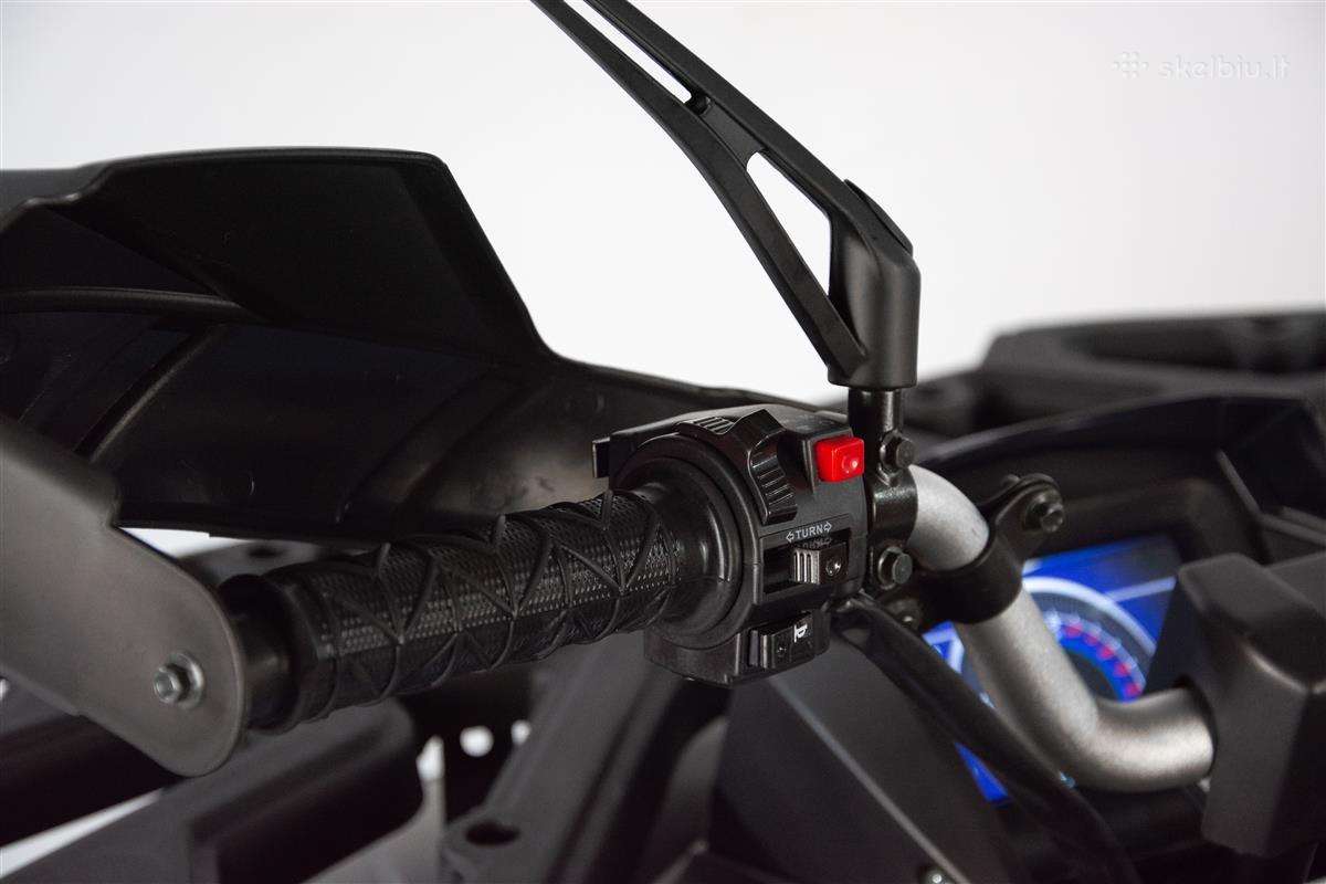 Benzininis keturratis Tao Fourcraft 250 cc - nuotraukos Nr. 22