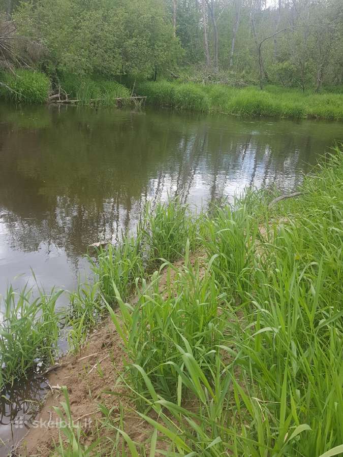Ant Vyžuonos upės kranto, 7,56ha sklypas - nuotraukos Nr. 2