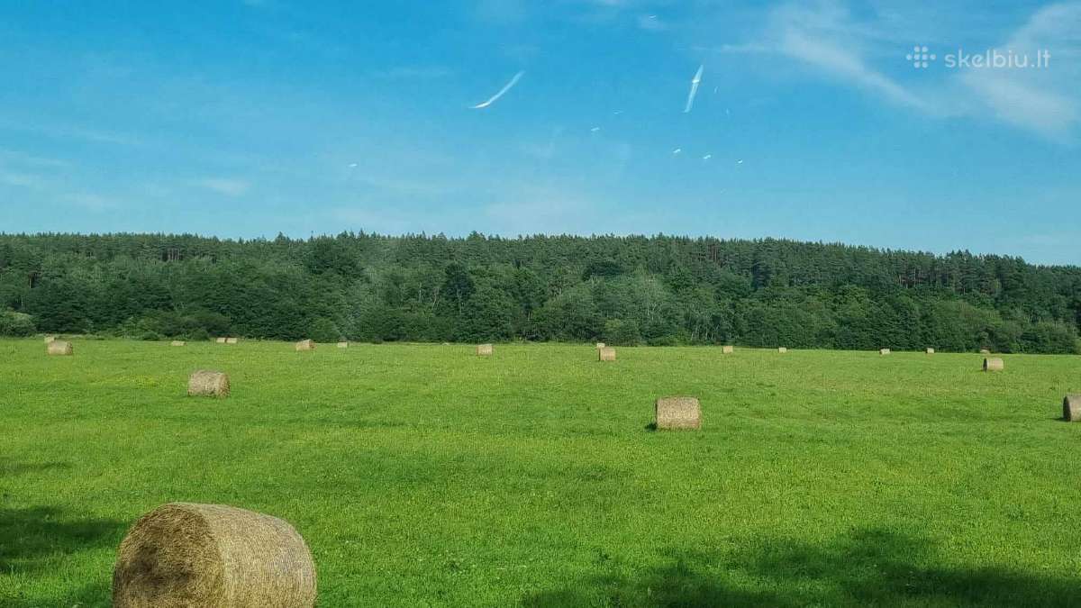 Perkame miškų ir žemės ūkio paskirties sklypus - nuotraukos Nr. 10