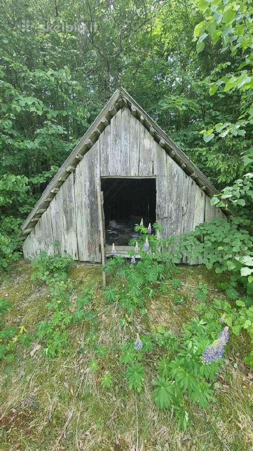 Perkame miškų ir žemės ūkio paskirties sklypus - nuotraukos Nr. 4