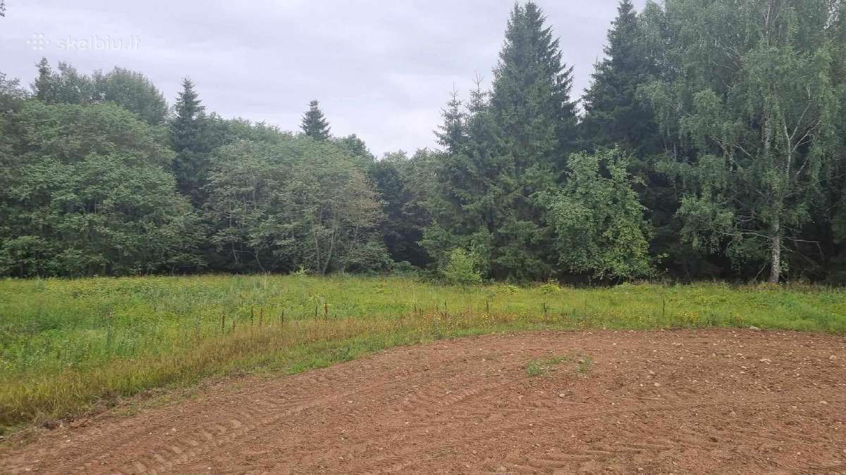 Perkame miškų ir žemės ūkio paskirties sklypus - nuotraukos Nr. 8