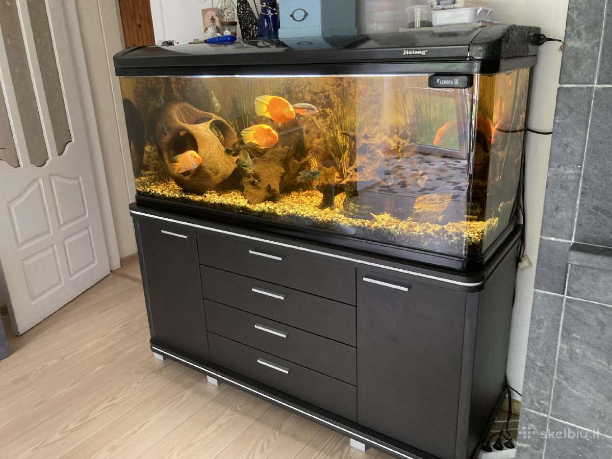 Akvariumas 450 litru