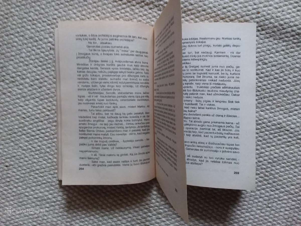 Raymond Chandler Privatus seklys (II tomas) - nuotraukos Nr. 3