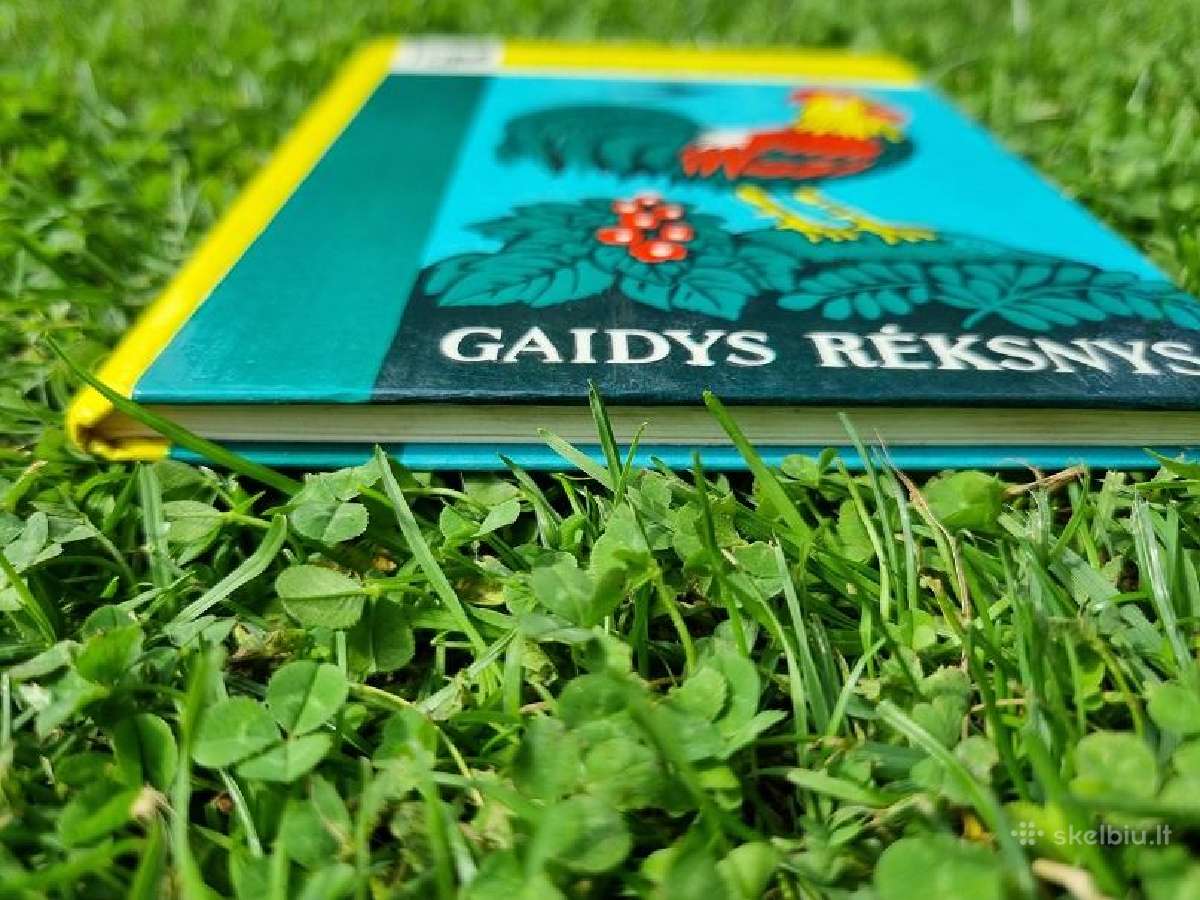 Vilhelmas Šarelmanas "Gaidys rėksnys" - nuotraukos Nr. 3