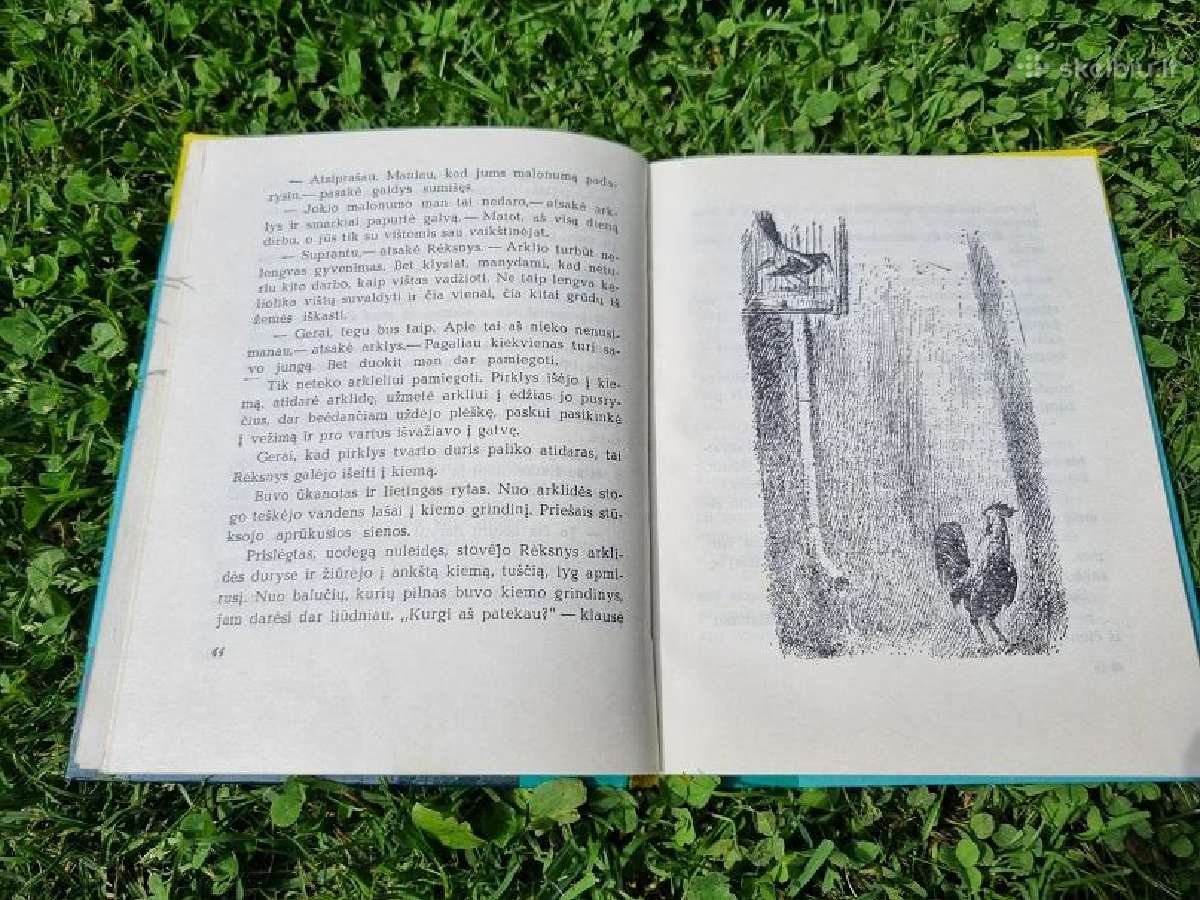 Vilhelmas Šarelmanas "Gaidys rėksnys" - nuotraukos Nr. 5