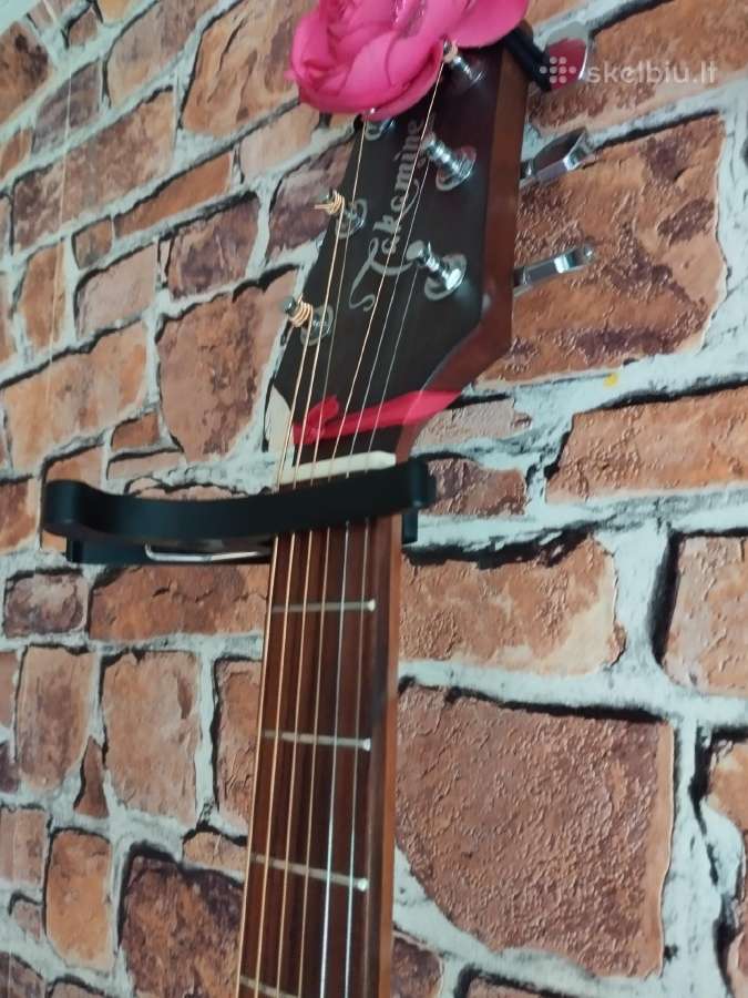 Gitara - nuotraukos Nr. 5